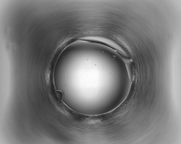 X0000116160491200911301604