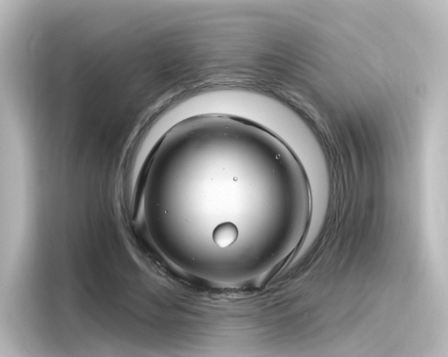 X0000116160492200911301604