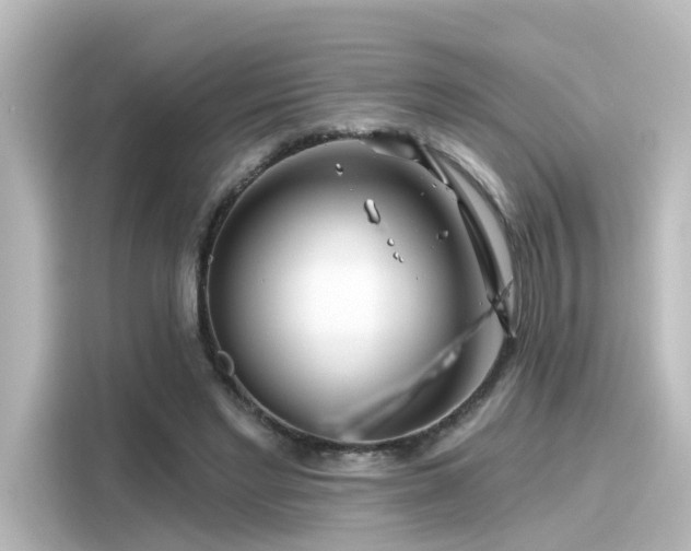 X0000116160493200911301604