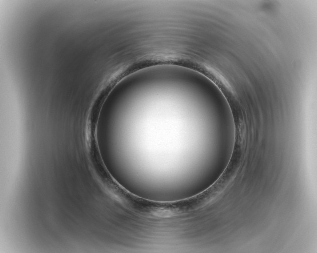 X0000116160494200911301604