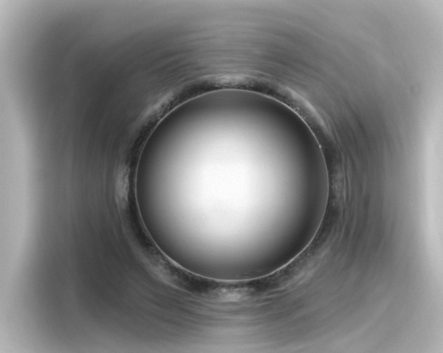 X0000116160495200911301604