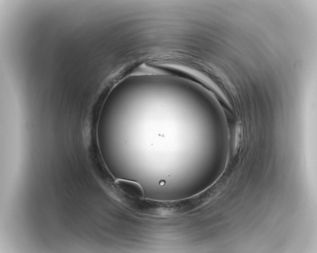 X0000116160496200911301604