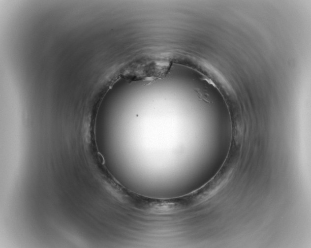 X0000116160497200911301604