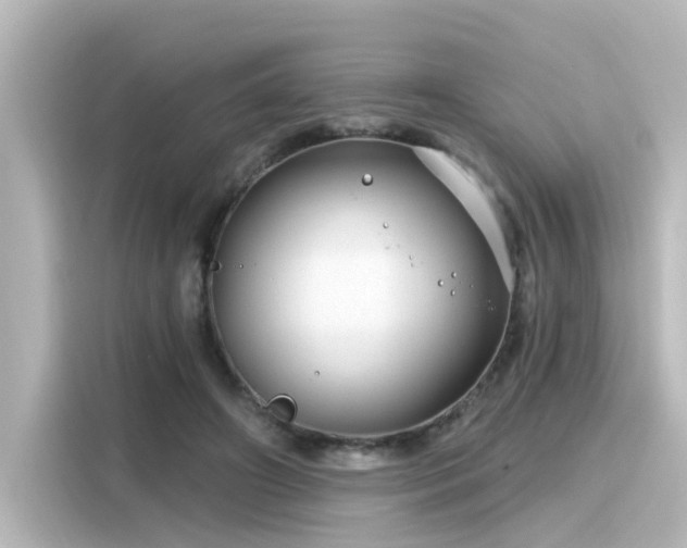 X0000116160498200911301604