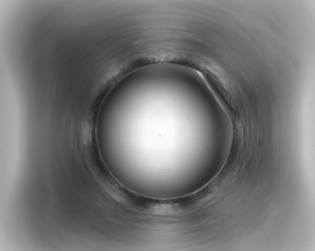 X0000116160499200911301604