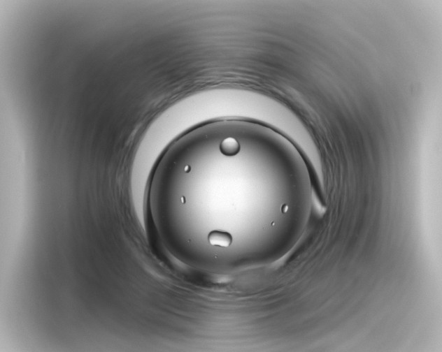 X0000116160500200911301604