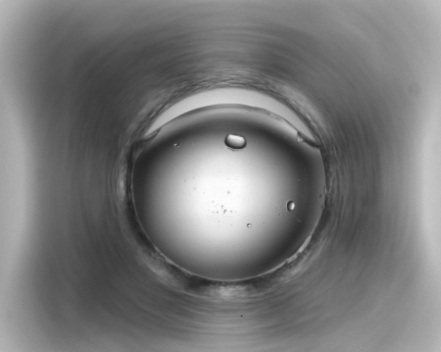 X0000116160501200911301604