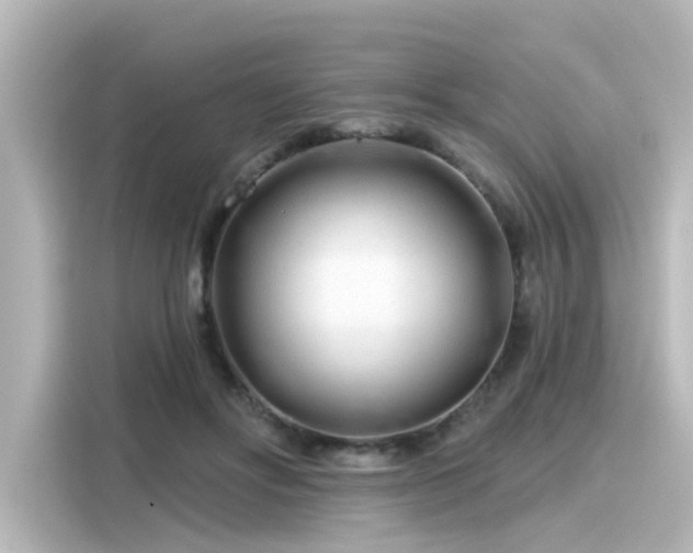 X0000116160502200911301604