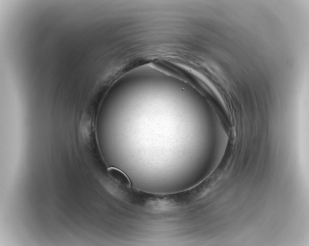 X0000116160503200911301604