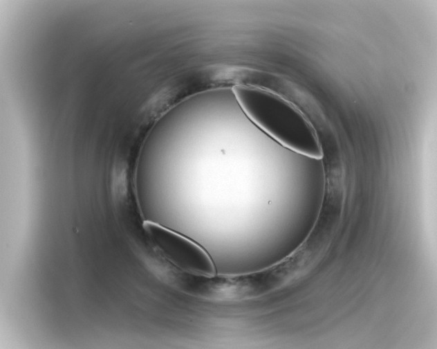 X0000116160504200911301604