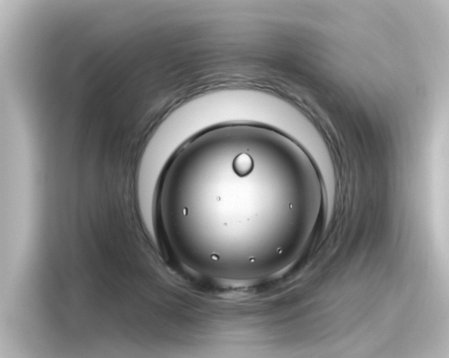 X0000116160505200911301604