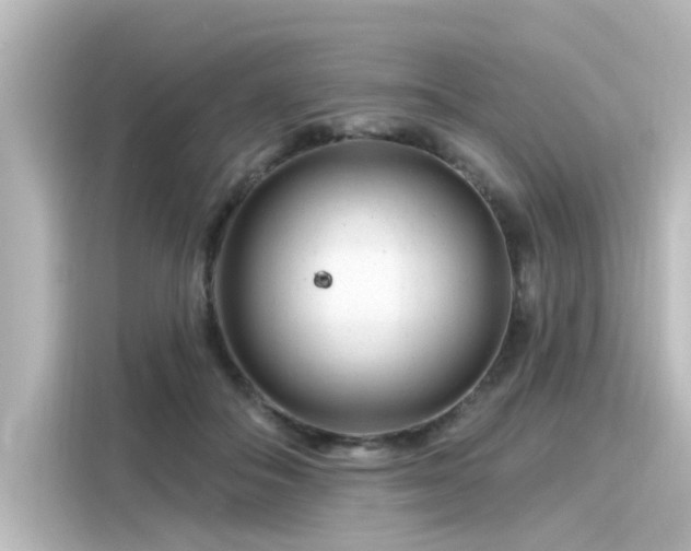 X0000116160506200911301604