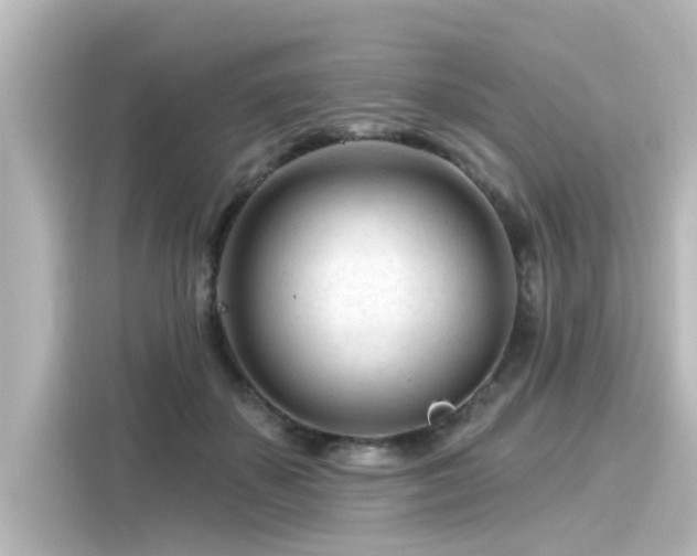 X0000116160507200911301604