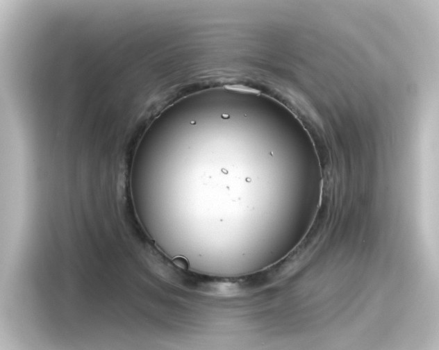 X0000116160509200911301604