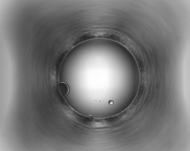 X0000116160510200911301604