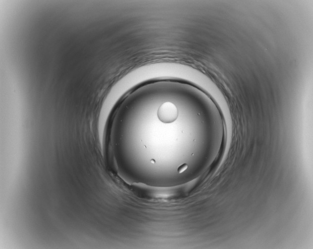 X0000116160512200911301604