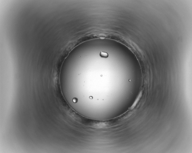 X0000116160513200911301604