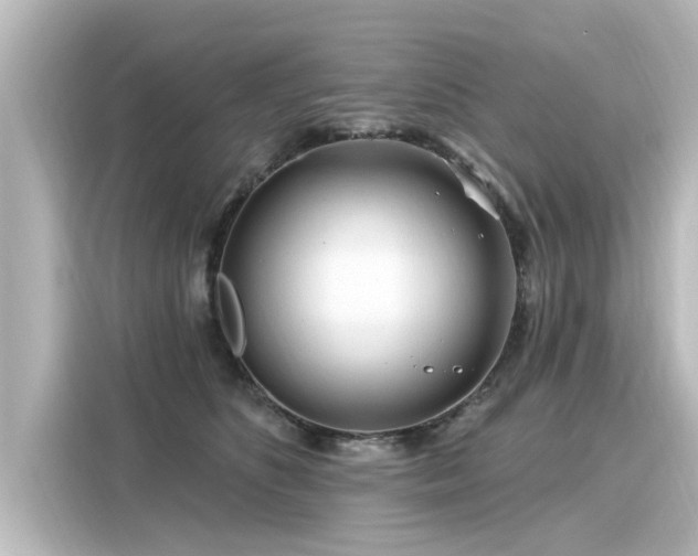 X0000116160516200911301604