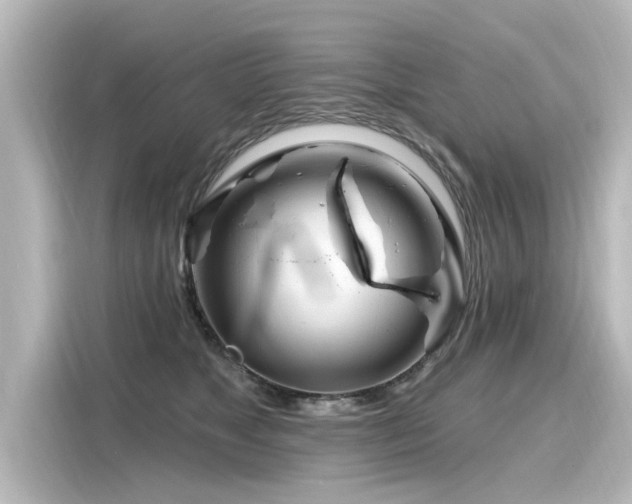 X0000116160517200911301604