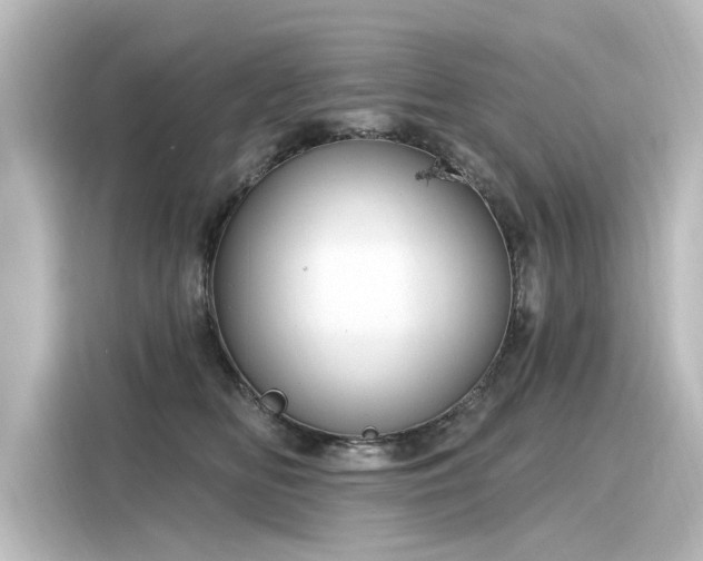 X0000116160518200911301604