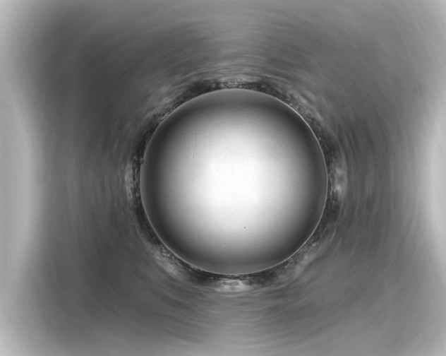 X0000116160519200911301604