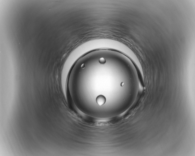 X0000116160520200911301604