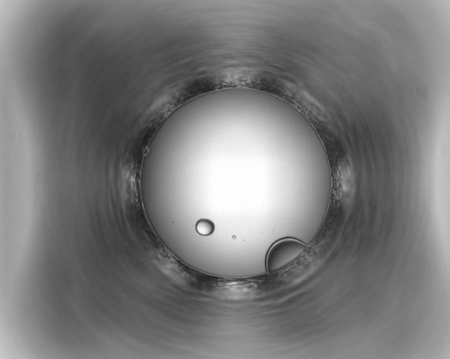 X0000116160522200911301604