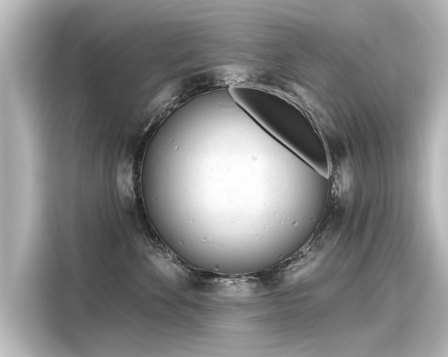 X0000116160524200911301604