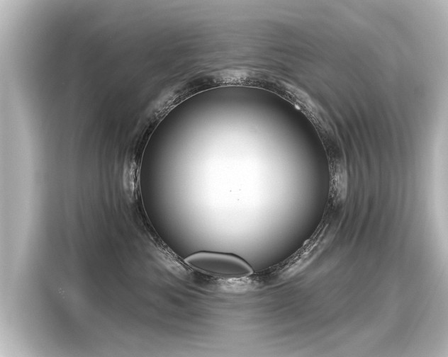 X0000116160525200911301604