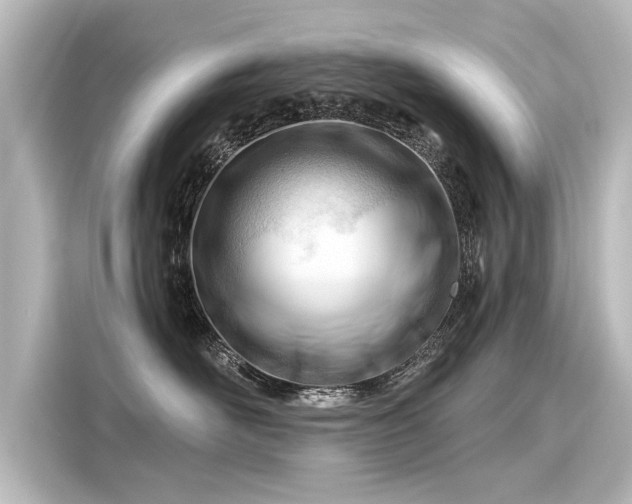 X0000116160526200911301604