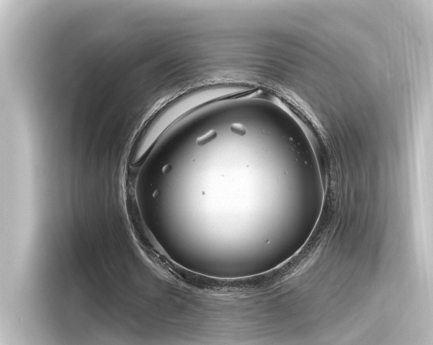 X0000116160530200911301603