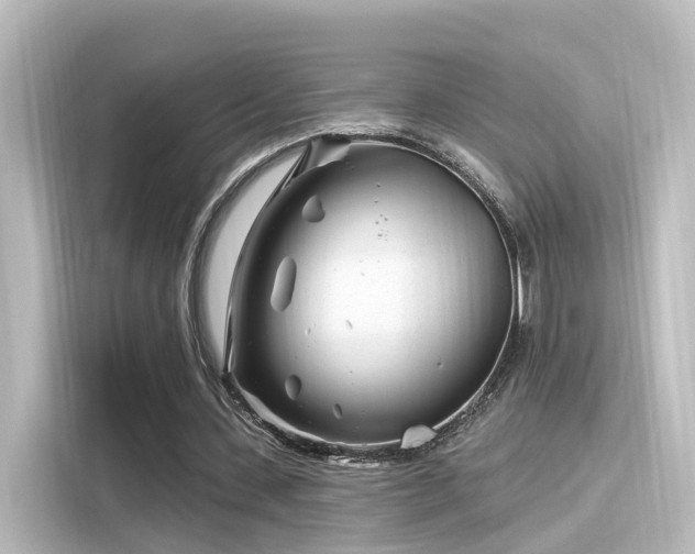 X0000116160531200911301603