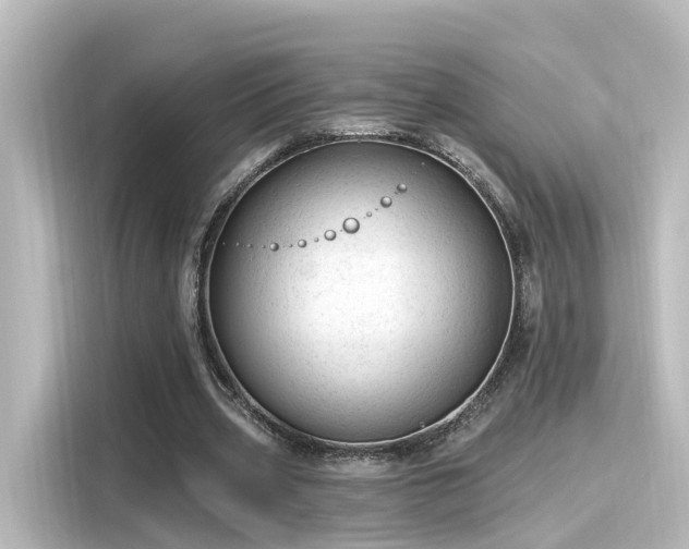 X0000116160533200911301603