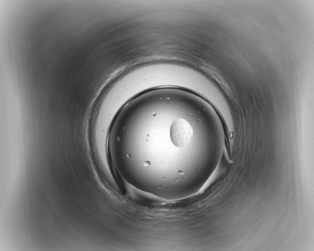 X0000116160534200911301603