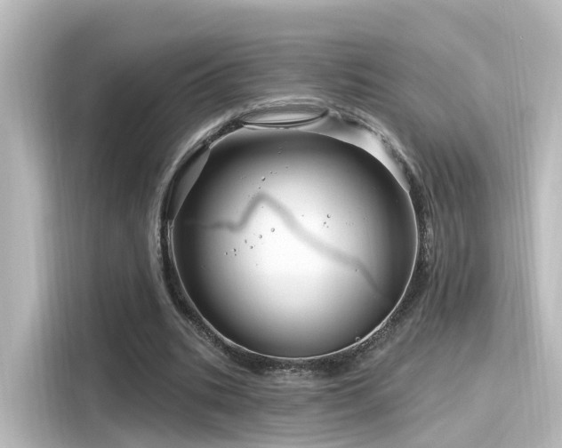 X0000116160535200911301603