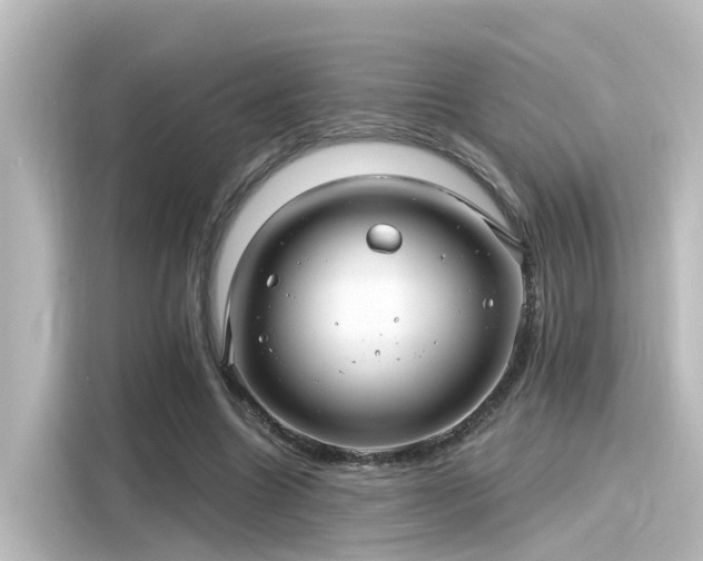 X0000116160538200911301603