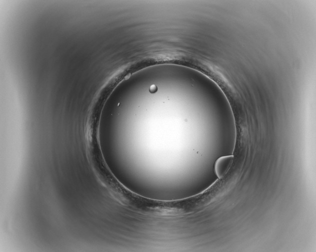 X0000116160539200911301603