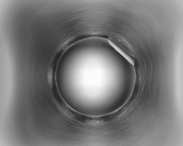 X0000116160542200911301603