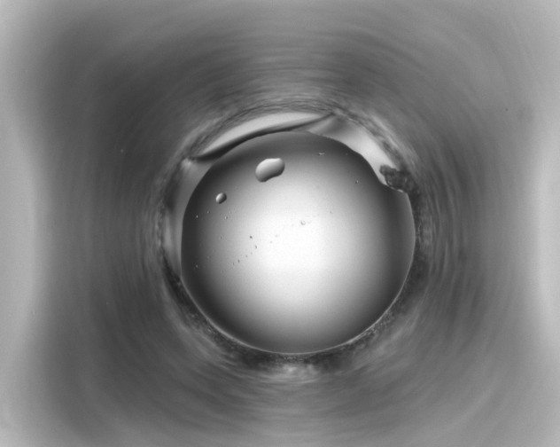 X0000116160543200911301603