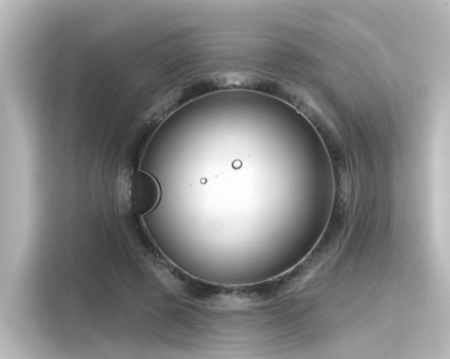 X0000116160545200911301604