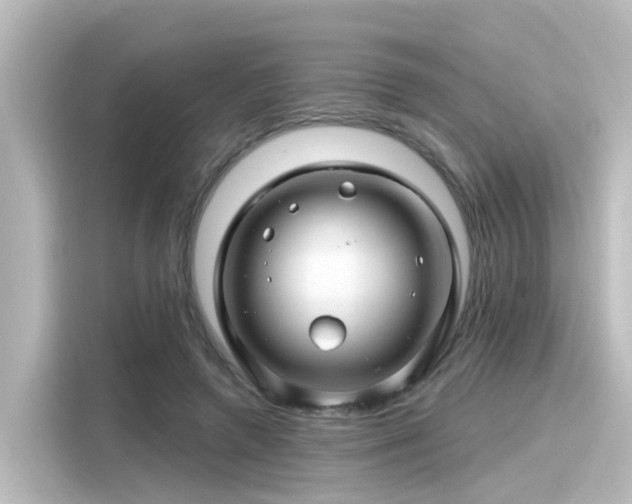 X0000116160546200911301604