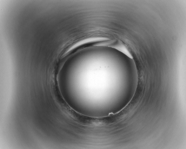 X0000116160547200911301604