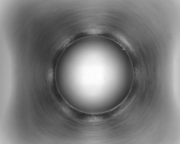 X0000116160549200911301604