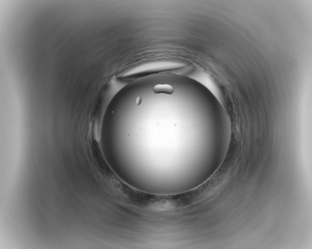 X0000116160551200911301604