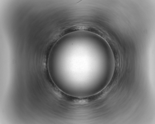 X0000116160553200911301604