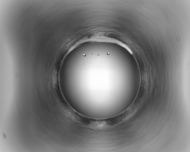 X0000116160554200911301604