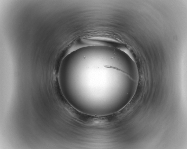 X0000116160555200911301604