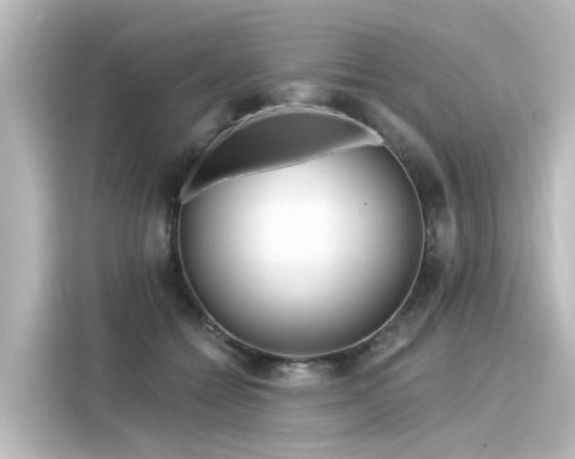 X0000116160558200911301604