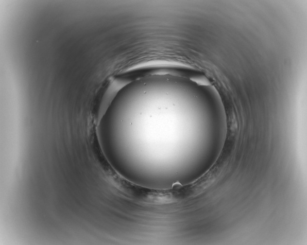 X0000116160559200911301604