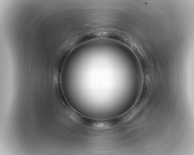 X0000116160561200911301604